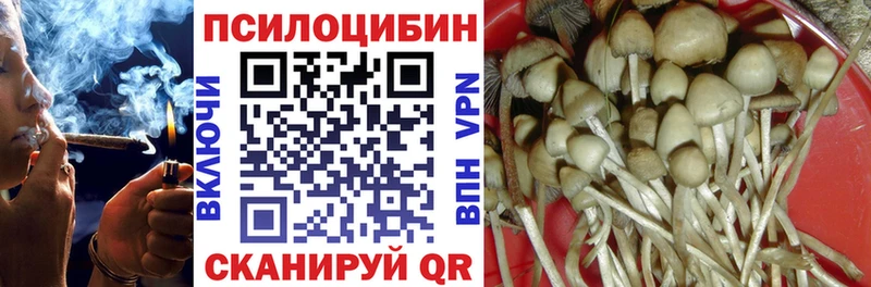 купить закладку  Белозерск  Галлюциногенные грибы прущие грибы 