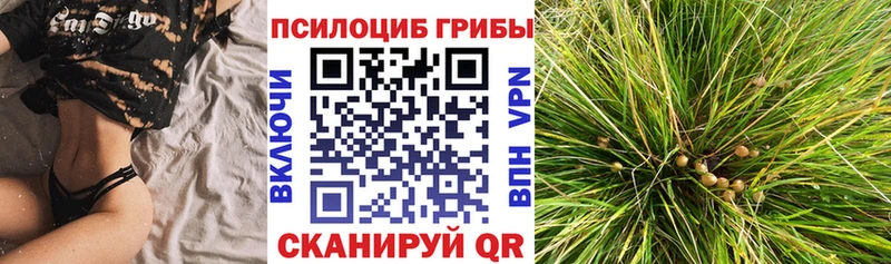 Псилоцибиновые грибы MAGIC MUSHROOMS Белозерск